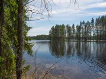 Heinävesi Pilppa Karjalansaari