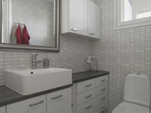 Erillinen wc