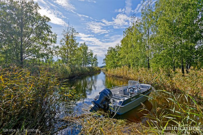 Asuntoilmoituksen kuva