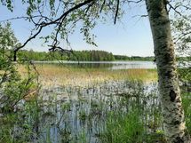 Leppävirta, Osmajärvi, Itkola