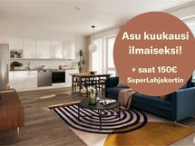 taiteilija 1 kk superlahjakortti.jpg