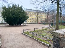 Katri Valan puisto on aivan rakennuksen vieressä.