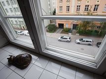 myös naapuritalot kauniita