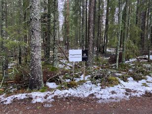 Kohdekuva
