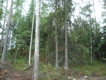 Tila Vehkaniemi RN:o 2:104