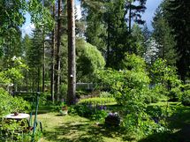 vehreä ja hyvin hoidettu viereinen erillinen tontti