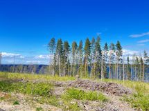 rakenna koti tai vapaa-ajan asunto