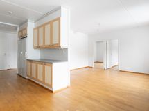 Keittiötä ja olohuonetta