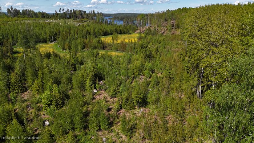 Asuntoilmoituksen kuva