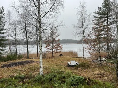 Talo, Oh, k, 2mh, var, et, kph, s, ter, 65/74 m², Mäntyharju - Radharc 3