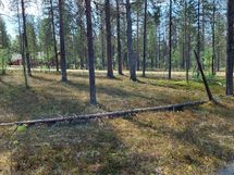 Sodankylä Kakslauttanen