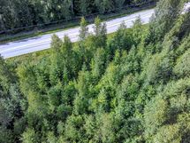 Ilmakuva metsän puolelta