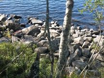 Kuhmo, Iso-Rommakkojärvi, Jauranniementie