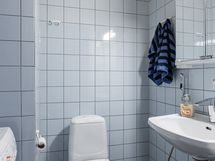 Erillinen wc