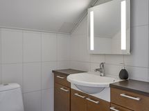 Alakerran erillinen wc.