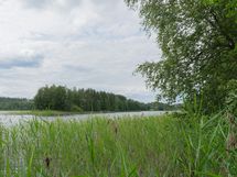 Puumala, Ryhälä, Korppisenjärvi