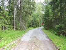 Kaakkolamminperältä näkymä itään.