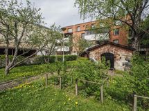 Sisäpihalla marjapensaita ja kylmäkellari