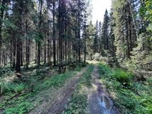 Leppävirta, Konnusvesi, Pirttikoski