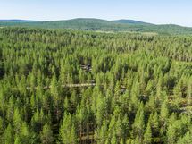 Pudasjärvi, Syöte, Pytkynharju