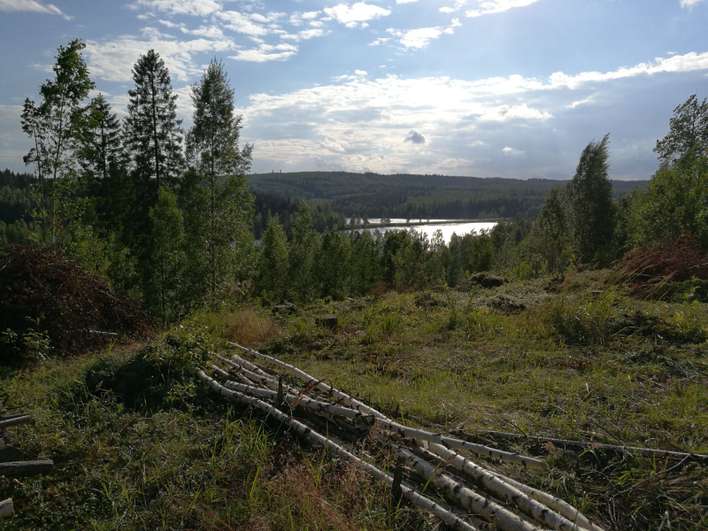 Tontti, 1 100 m², Jyväskylä, Jyväskylä