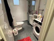 Pesuhuone kuva 2