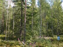 Kuhmo, Iso-Rommakkojärvi-Ontojärvi, Hyrynsalmentie