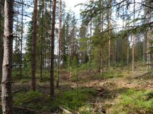 Ylöjärvi, Kuru, Heinuu ja Poikelisjärvi