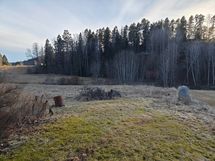 Varasto/tallin takana olevaa peltoa ja metsän siimeksessä puron toisella puolella oleva vanha sauna