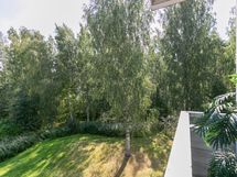 Kesäistä metsänäkymää parvekkeelta