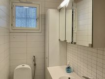 Wc rantasaunalla