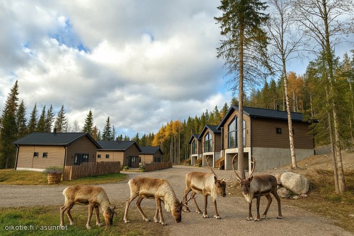 Asuntoilmoituksen kuva