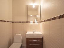Kellarikerroksen erillinen wc