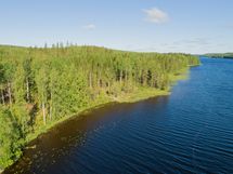 Kaavi, Rikkavesi, Luikonlahti