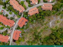 Piha jatkuu metsämaisemiin