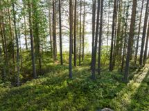 Puolanka, Pirttijärvi