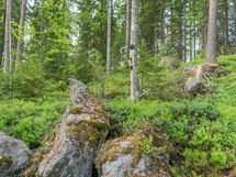 Varkaus, Miehalanjärvi, Sopalanniementie