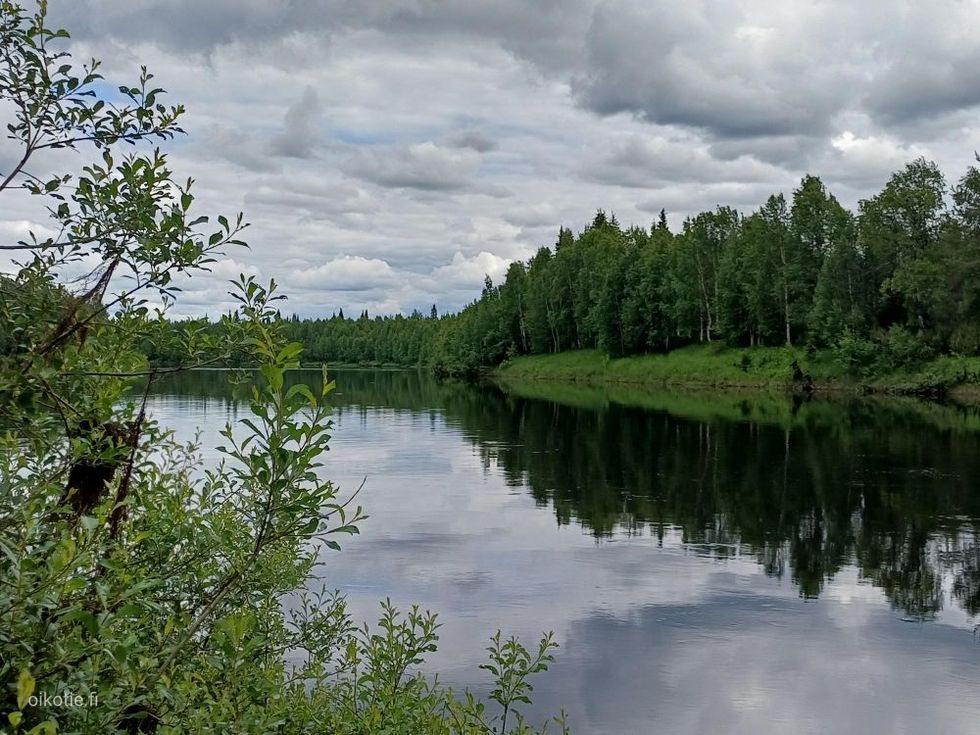 Kohdekuva