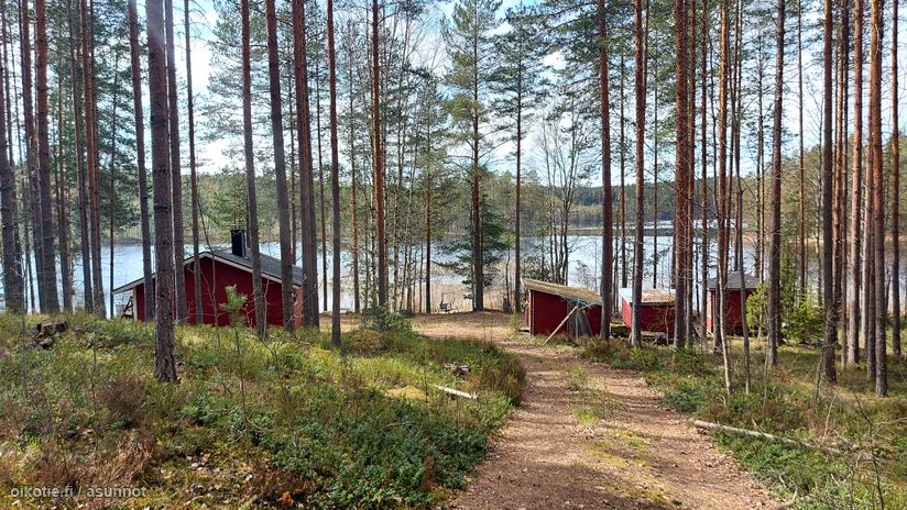 Asuntoilmoituksen kuva
