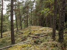 Salo, Särkisalo, Karhumäki