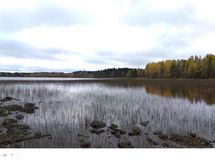 Tontti 3 rantanäkymää koilliseeen
