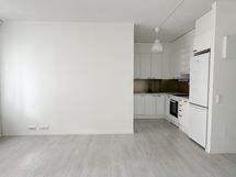 Olohuone ja keittiö