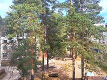 Näkymä keittiön ikkunasta sisäpihalle.