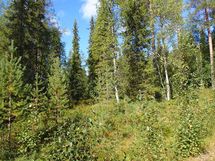Salla, Sallatunturi, Seitakuja