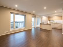 Tulilintu valmis asunto