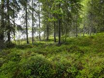 Rovaniemi-Karjalanjärvi