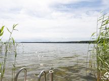 Laituri