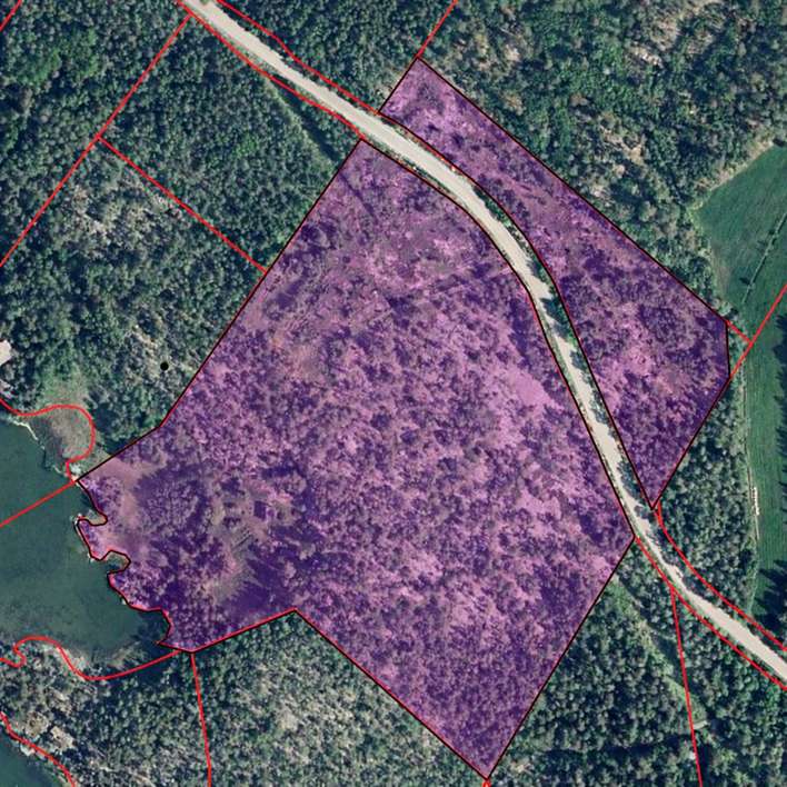 Loma-asunto, 1h+k, rantasauna, vierasaitta, 38 m², Korsaari - Näkymä 4