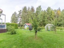 Takapihaa kesäaikaan