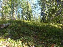 Salla, Sallatunturi, Seitakuja